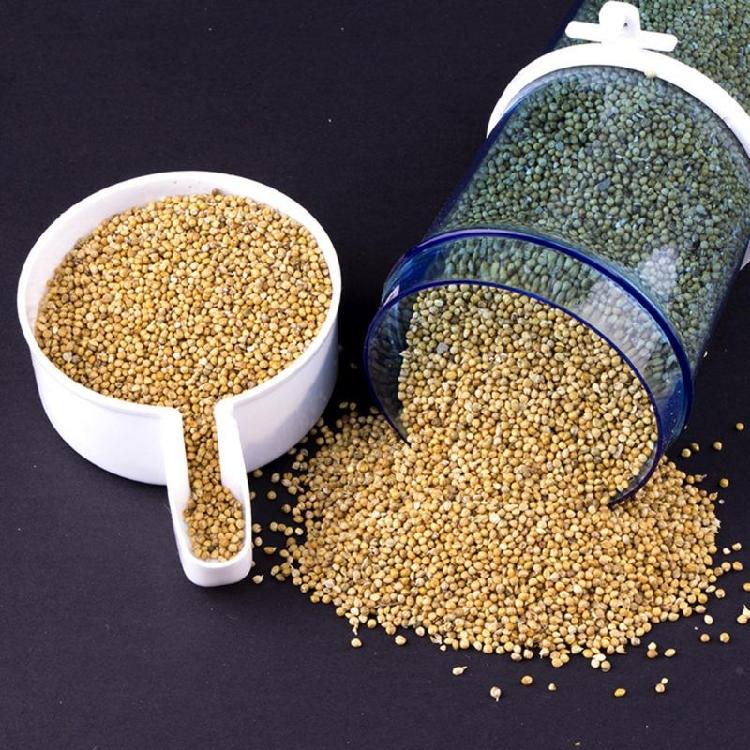 Parrot Feeder Waterer Water Dispenser No Mess Automatic Bird Feeding Supplies