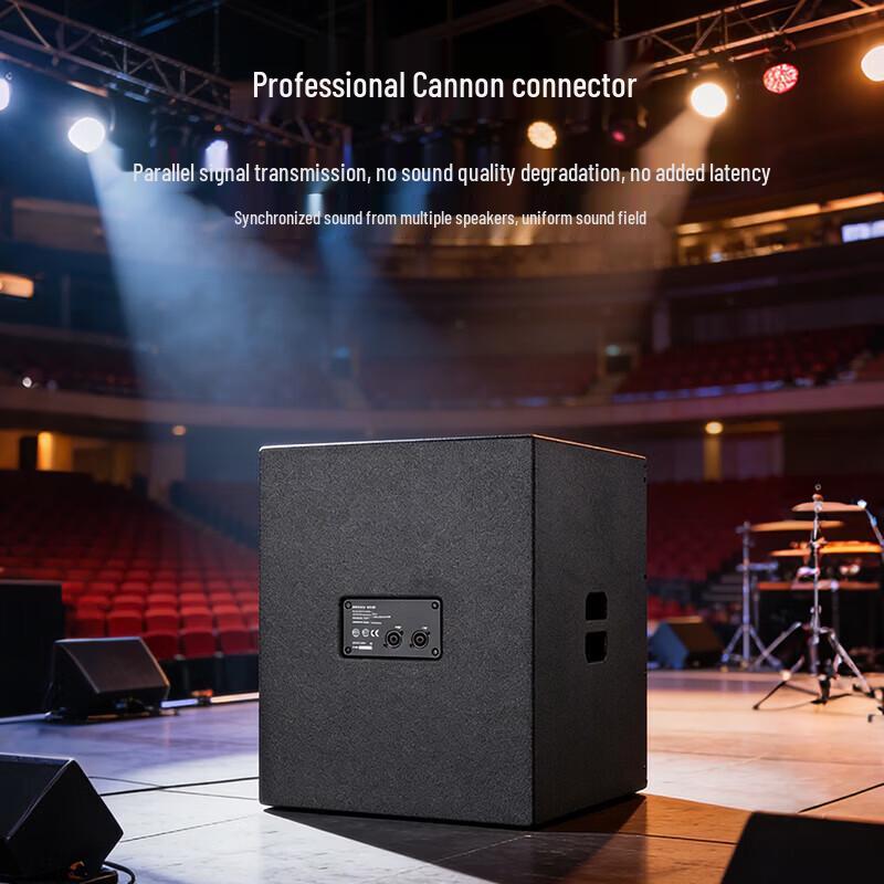 Weishu YC-D12 12-inch Professional Passive Subwoofer (CN Version)