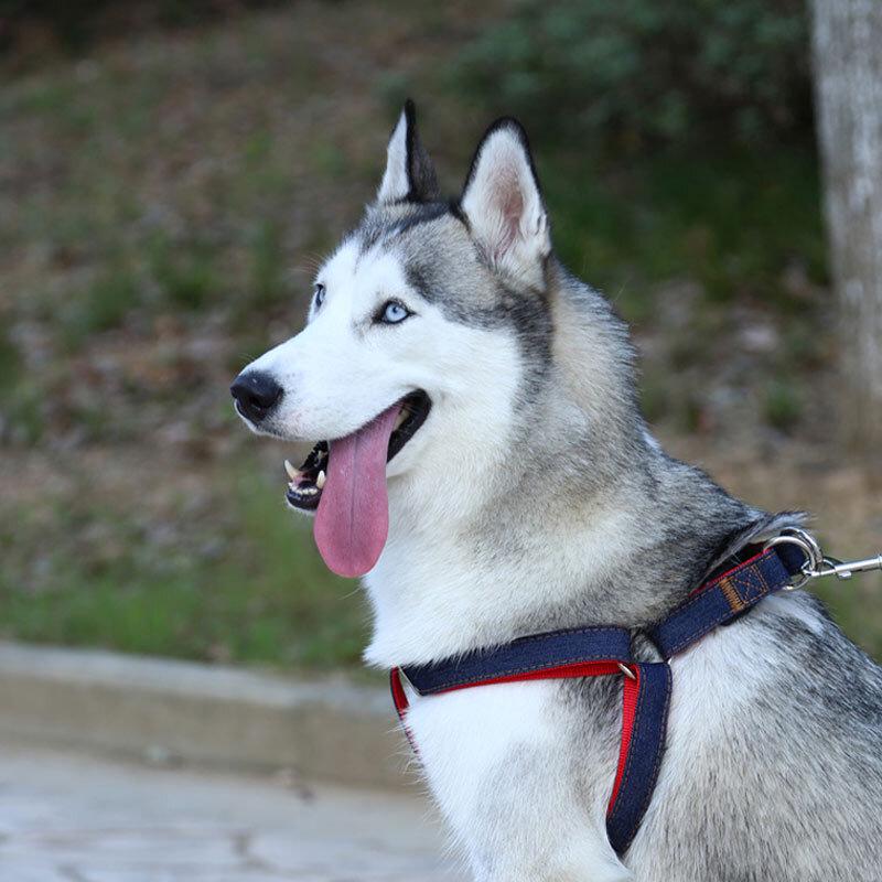 Chong Xiao Man Adjustable Denim Dog Leash and Harness Set