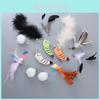 Large Assortment Of Diy Interactive Pet Toys Cat Toy Teaser Wand Replacement Heads Wholesale Factory Stock