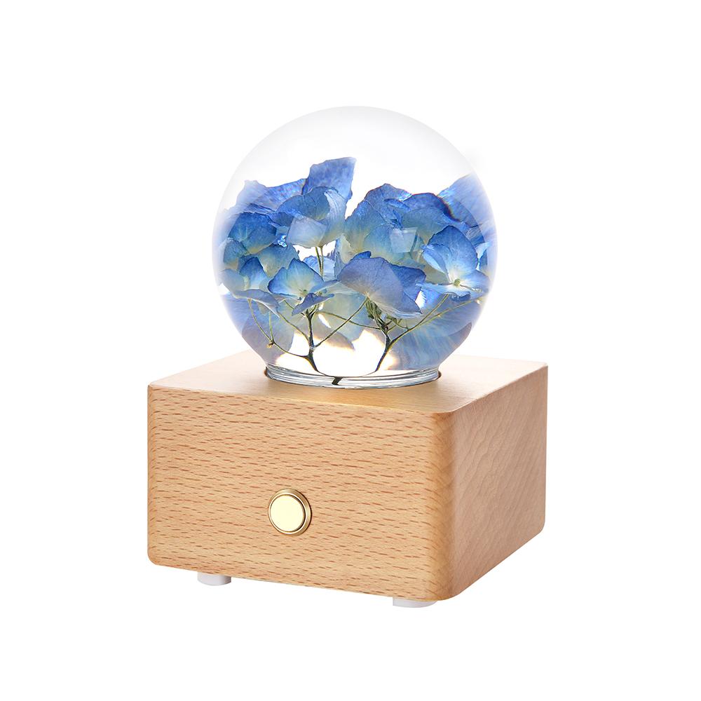 Hot Item Novelty Gifts 2025 Trends New Innovative Product Ideas Real Flower Light Bluetooth Speaker Holiday Festival Gift