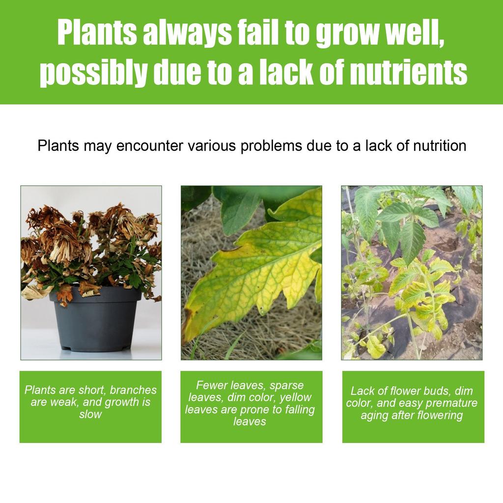 100ML Plant Nutrient Solution, Yellowing And Falling Leaves Of Flowers And Lawns, Universal Plant Seedling Strengthening Nutrient Fertilizer