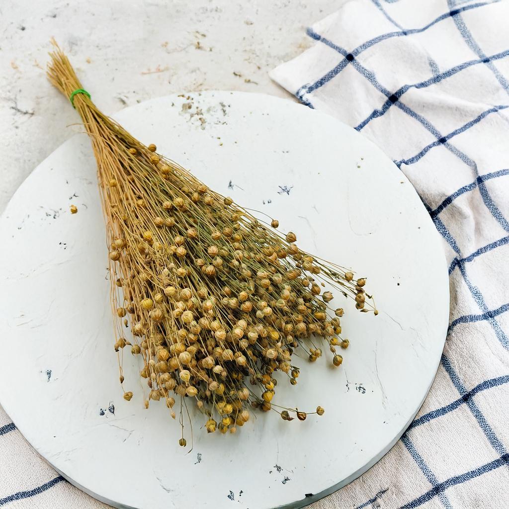 Dried Lentil - Natural