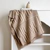 Striped Fashion H Imitation Cashmere Scarf Women's Winter Thickened Double-sided Cold Scarf Cape Shawl