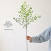 Artificial Green Nandina, Artificial Green Stems, Artificial Branches, Leaves, And Floral Arrangements for Vases, Bouquets, And Wedding Decorations.