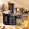 Lan Sheng Jia Automatisk Juicer med Stor Kaliber