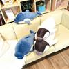Kamukamuzu Body Pillow L Apollo Plush Toy Interior Bedding Dolphin