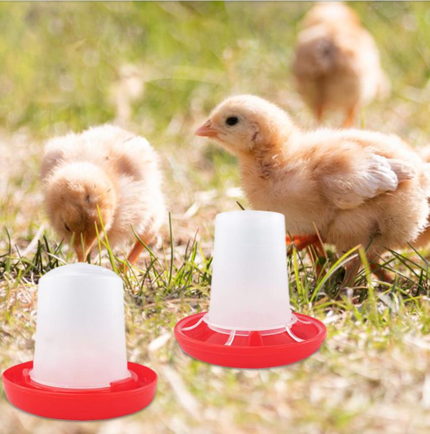 1set Poultry Automatic Drinker Bucket Chicken Feeder Barrel Water Bucket Quail Drinking Farm Chicken Coop Water Supplies