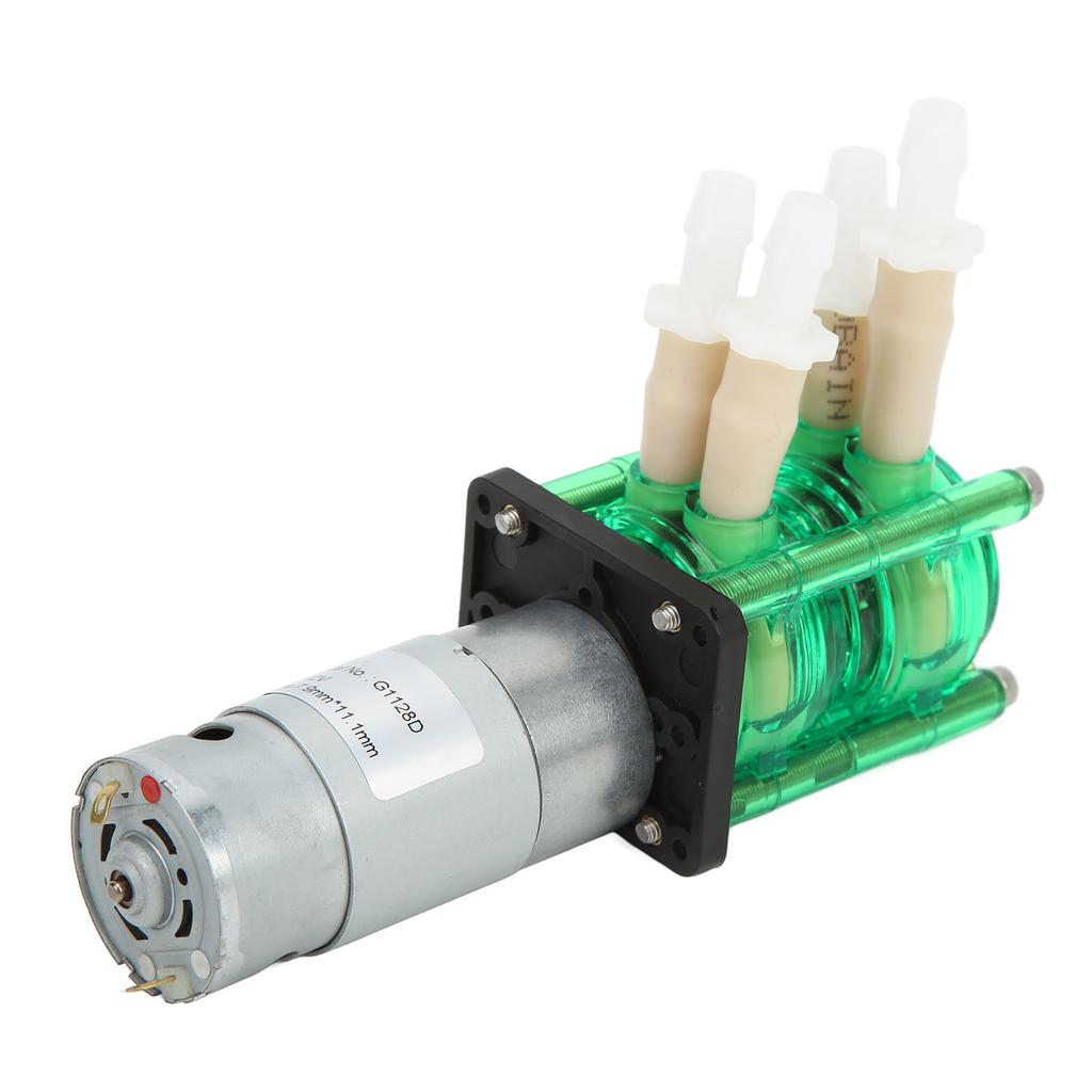 Dual Head High Flow Corrosion Resistant Peristaltic Pump Liquid Dosing Pump with BPT Tube 700mlmin