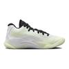 Air Jordan Zion 3 No Guts