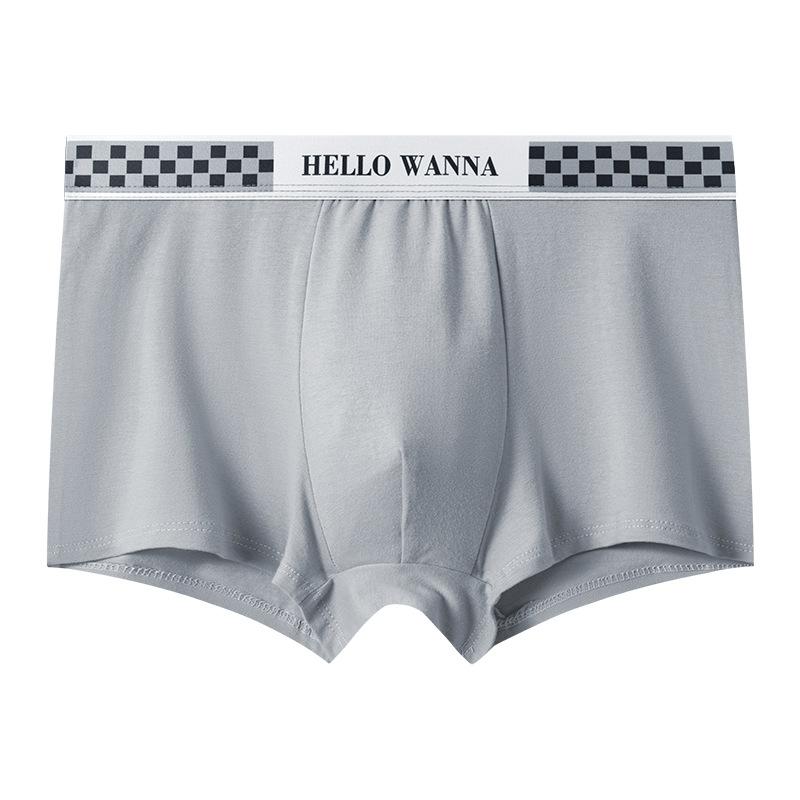 Summer Thin Men's Underwear Breathable Letter Waist Flat Angle Pants for Men