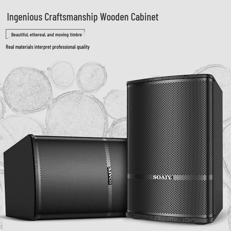 Soaiy CK-M39 Professional KTV & Meeting Sound System CN plug (adapter included)