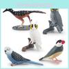 Modelos Realistas de Pássaros PVC Coleção de Decoração de Jardim Com Pegas Papagaios E Coruja Figuras de Animais Para Paisagismo e Decoração de Casa