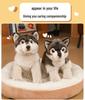 Wolf Dog Plush Toy Simulation Korean Craft Animal Ornament