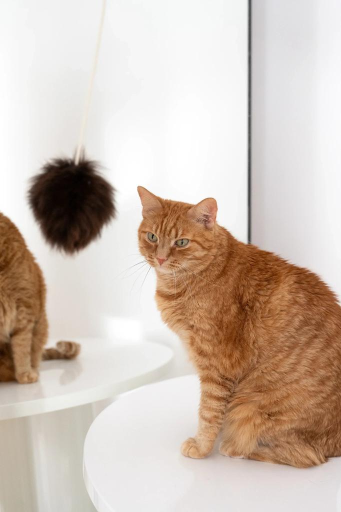 Natural Woolen Cat Toy: Ball String / Beige