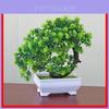 Artificial Plant Pot With Mini Tree Home Decor For Living Room And Office