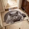 Absorbent Entryway Rug Diatomite Pet Floor Mat Practical Cat Print Doormat  Hallway