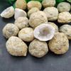 Naturlig Uåbnet Achat Geode Rå Krystaller Mineral Energi Helbredelse Rå Sten Krystalklase Hule Samlingsprøve dekoration