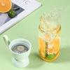 Portable Water Bottle Sports Fruit Tea Bottle Cold Drink 530mL