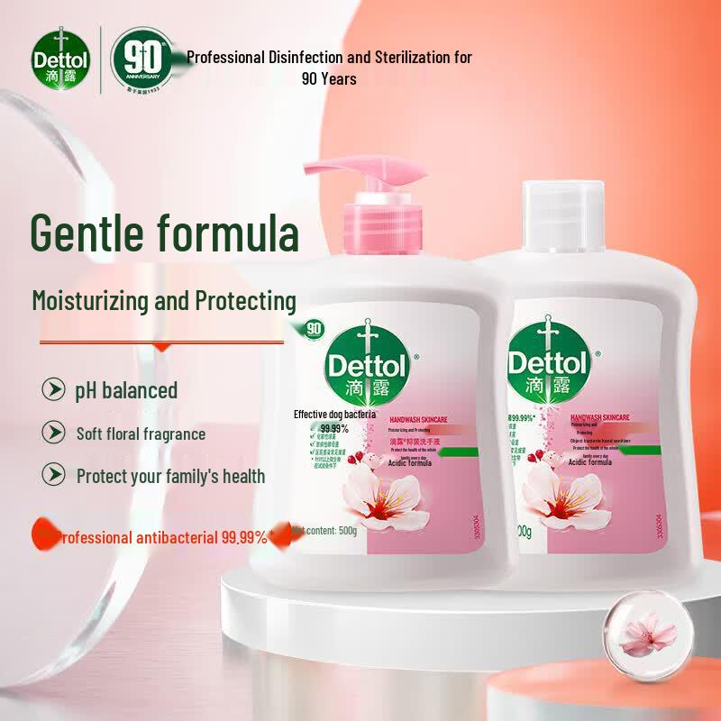Dettol Moisturizing Antibacterial Hand Wash Family Pack