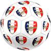 Arsenal Football Club Crest Size 5 Soccer Ball Machine Sewn Indoor/Outdoor Universal Football Ideal for Soccer Enthusiasts