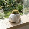 Desktop Plant Container Cute Rhinoceros Planter, 3D Printed Rhino Flower Pot, Small Cactus Pot Decorative Animal for Succulents Houseplants