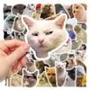 10/30/50/100pcs Funny Animal Cat MEME Graffiti Stickers Waterproof DIY Suitcase Motorcycle Phone Luggage Cute Waterproof Sticker