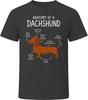 Anatomy of a Dachshund Funny Dachshund Dog Lover Gift T-Shirt