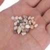 Natural Sand Stone Gravel Landscaping Decoration for Fish Tank Aquarium Flowerpot Fresh Water Seawater DIY Accessories