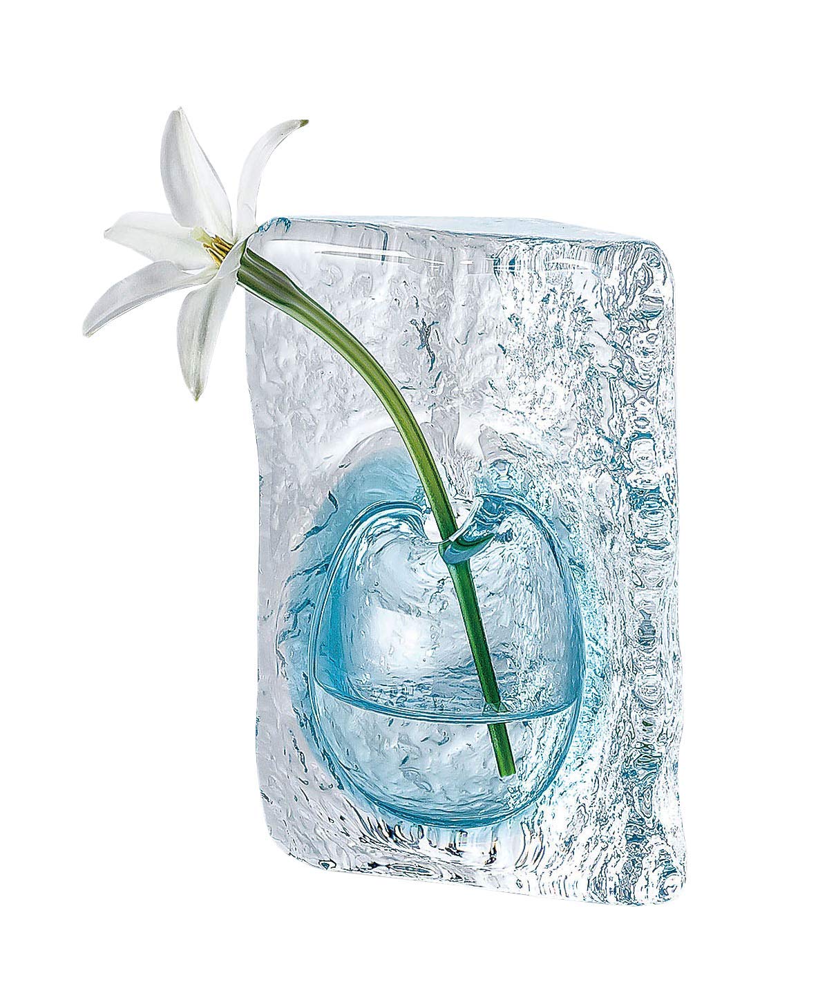 Цветок одиночный цветок ваза ваза,