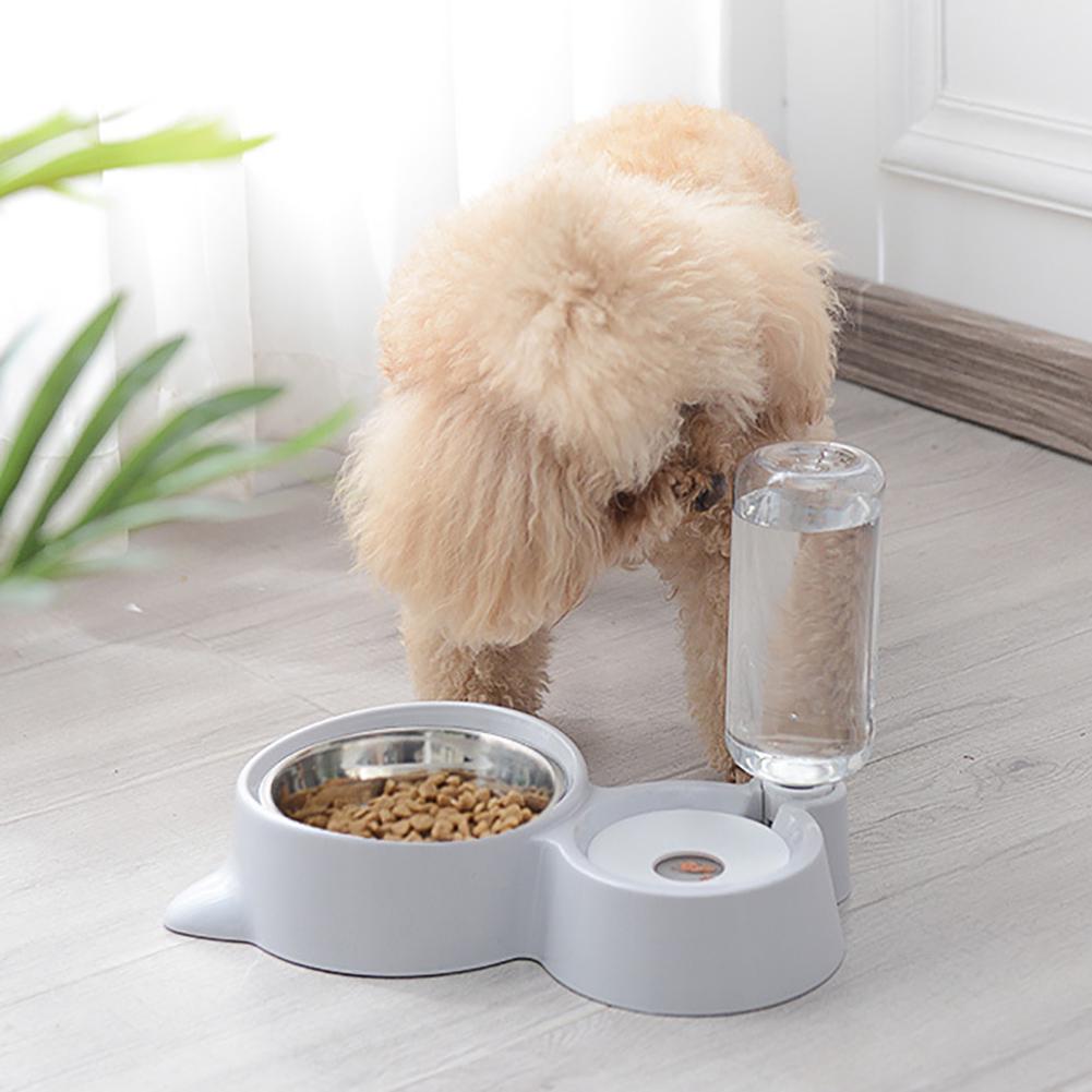 small dog feeder