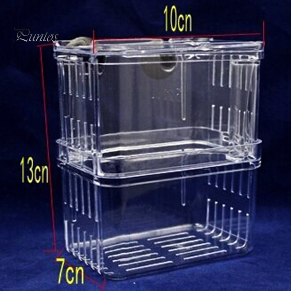 Akryl Transparent Dobbeltlags Aquarium Fish Breeding Isolation Box Incubator