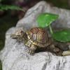 Micro Landscape Turtle Figurines Waterproof Resin Miniature Ornaments Realistic Turtle Statue for Fish Tanks Potted Plants Moss Gardens