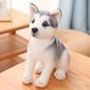 Realistic Appearance Simulation Dog Plush Toy Husky Puppy Doll Cute Stuffed Animal Toy  Home Decor