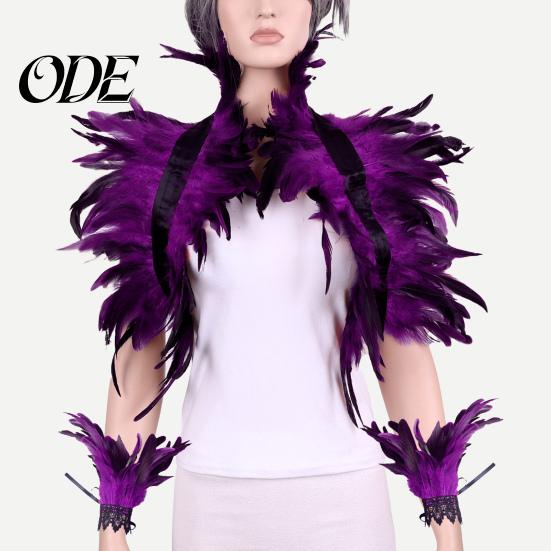 Feather Shawl Bracelet Set 1 Fake Collar with Wrist Ring Gothic Style Imitation Angel Wings Hollow Out Lace Unisex Model Stage Show Performance