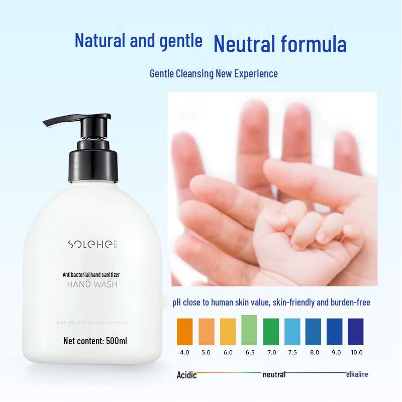 Harmony Rain Antibacterial Hand Wash