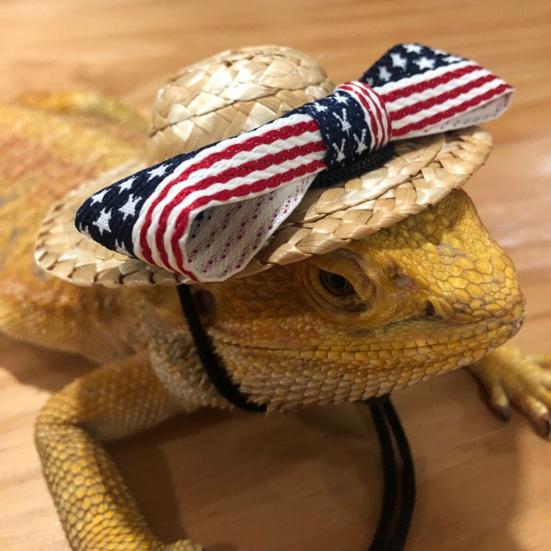Buy Lightweight Lizard Fisherman Cap 