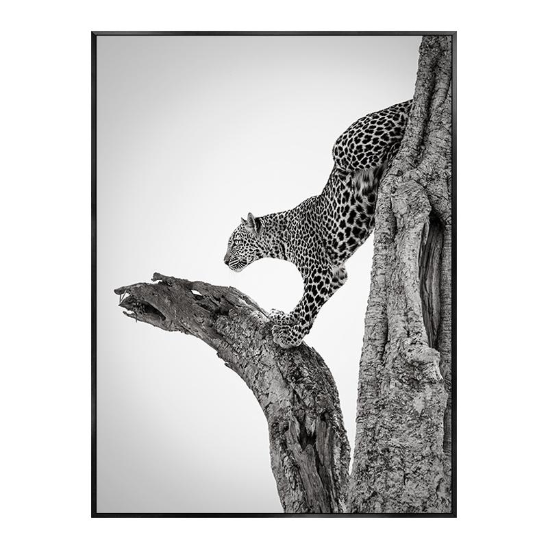 Monstera Leaf Green Plant Poster Animal Lion Leopard Horse Photos Nordic Decorative Paintings Canvas Wall Art Picture Home Decor