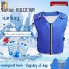Cooling Ice Vest