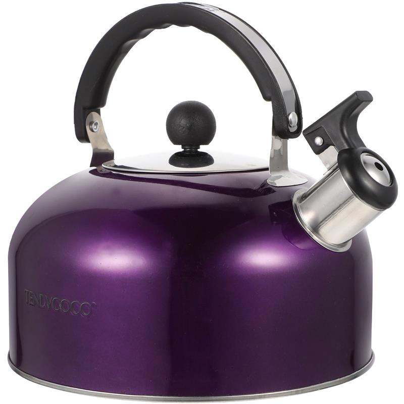 Kettle Kettles for Stove Fast Boil Quiet Pots Stainless Steel Stovetop Teakettle Spherical фиолетовый
