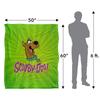 Scooby Doo Head Blanket