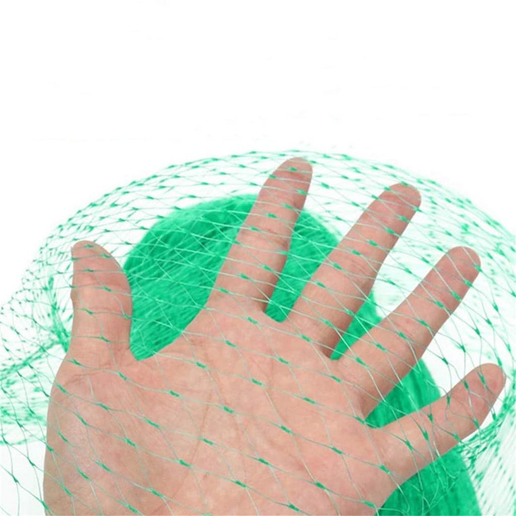 Garden Bird Protection Net 4m x 10m Polyethylene Mesh Netting for Orchard Vineyard Crop Protection Durable Extruded Material