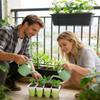 Seedling Starter Trays Seed Starter Kit 12-Cells Silicone Reusable Germination Tray for Garden Greenhouse Backyard Planting