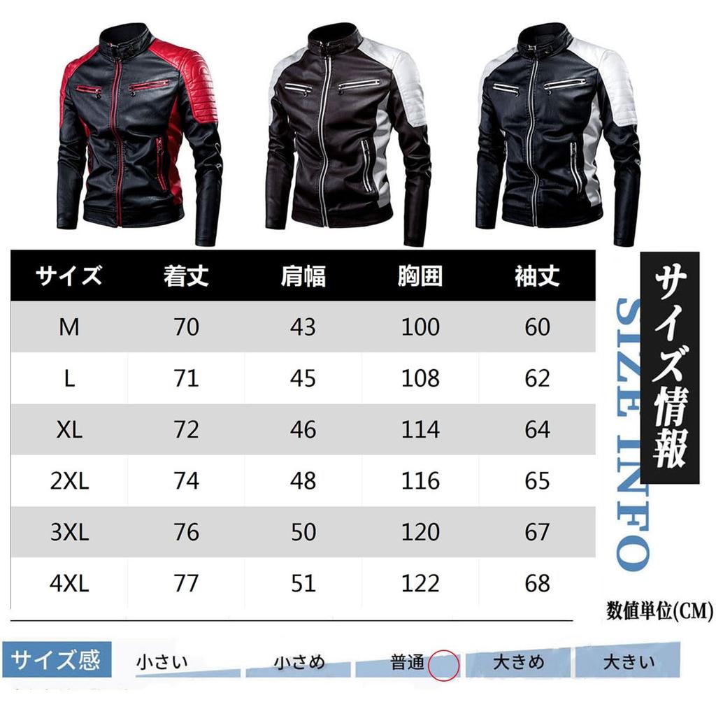 Motorcycle Leather Cold Motorcycle Motorcycle Wear [Tiann] Jacket, Rider's Jacket, Men's Jacket, Windproof, Protection, Blouson,