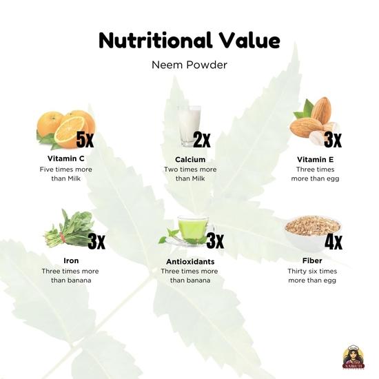 Nairuti Vyutpadan Neem Powder 250g | 100% Pure Natural Azadirachta Indica for Skin Hair & Immunity| Ideal for Face Packs Hair Masks