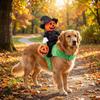 Standing Style Black Hat Pumpkin Pet Clothing Ghost Face Pumpkin Dog Cosplay Clothes  Halloween