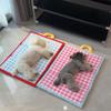 Creative Waterproof Pet Ice Mat Foldable Soft Cooling Mat Breathable Machine Washable Cooling Ice Nest Hot Weather