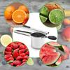 Potato Ricer, Stainless Steel Potato Ricer Fruit and Vegetables Masher Food Ricer Large Capacity with 3 Interchangble Discs Inner Cup