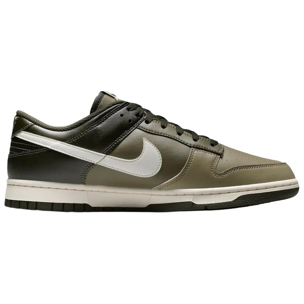 Nike Dunk Low Retro HF5441-203