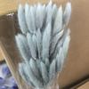 Yunnan Dried Flowers Bouquet - Rabbit Tail Grass